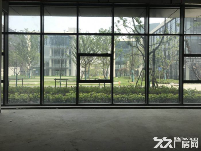 生产加工，细胞，张江亚兰德乙方总部，一路建筑400平，展示面好-图3