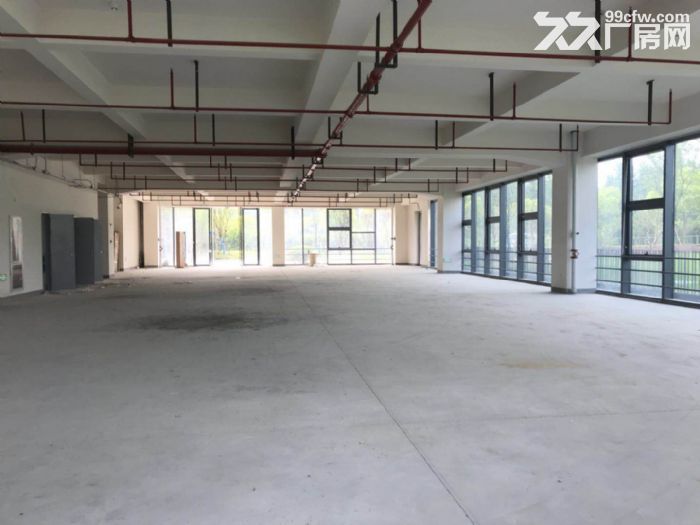 生产加工，细胞，张江亚兰德乙方总部，一路建筑400平，展示面好-图5