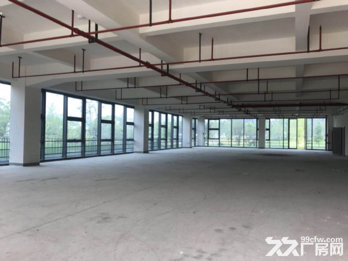 生产加工，细胞，张江亚兰德乙方总部，一路建筑400平，展示面好-图4