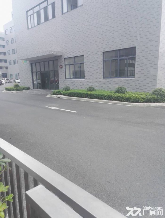 车墩无公摊独立层面800平米车间价格0.8元含税形象好-图5