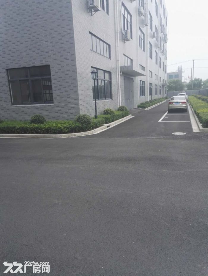 车墩无公摊独立层面800平米车间价格0.8元含税形象好-图4