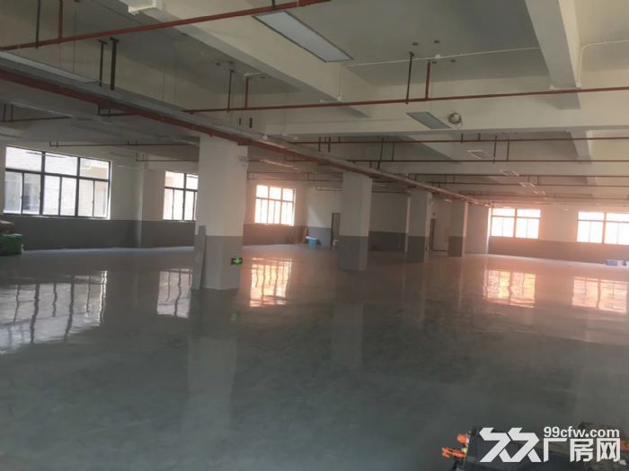 车墩无公摊独立层面800平米车间价格0.8元含税形象好-图6