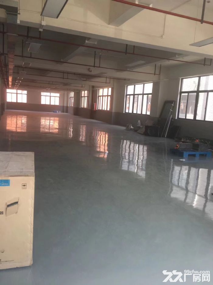 车墩独立层面800平米车间单价仅0.8元含税开增票-图2
