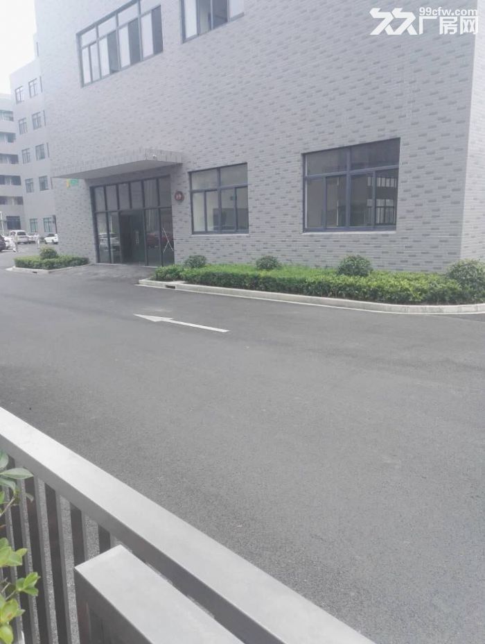 车墩独立层面800平米车间单价仅0.8元含税开增票-图4