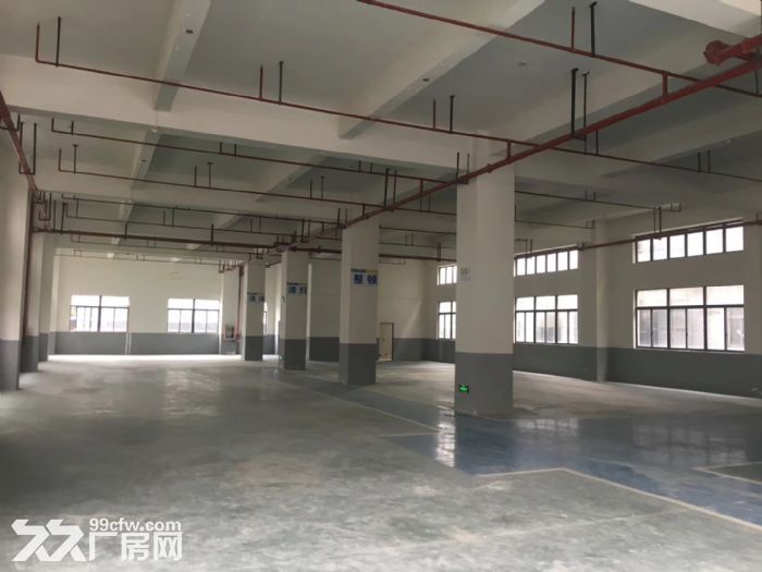 车墩独立层面800平米车间单价仅0.8元含税开增票-图7