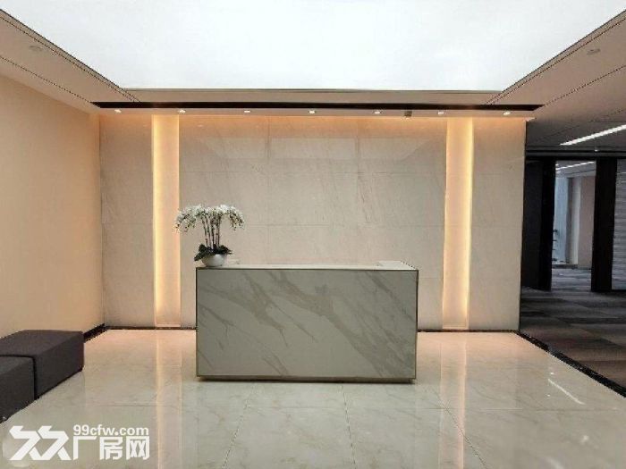 浦东自贸区：宽银大厦，中国海关大厦，地铁口，精装-图5