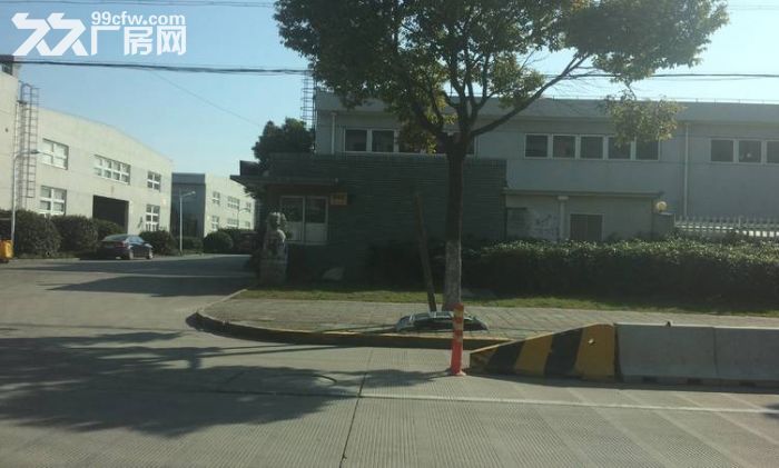 嘉定南翔一楼1950平仓库出租层高8米适合做仓储等行业、交通方便-图4