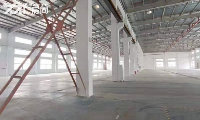 佘山工业区，原房东，无公摊，独栋单层，环境好，场地超大！交通便利！、交通方便-图5