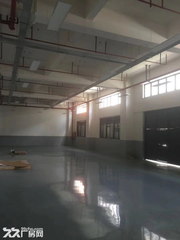 车墩独立层面精装修车间900平米一房东厂房出租-图3