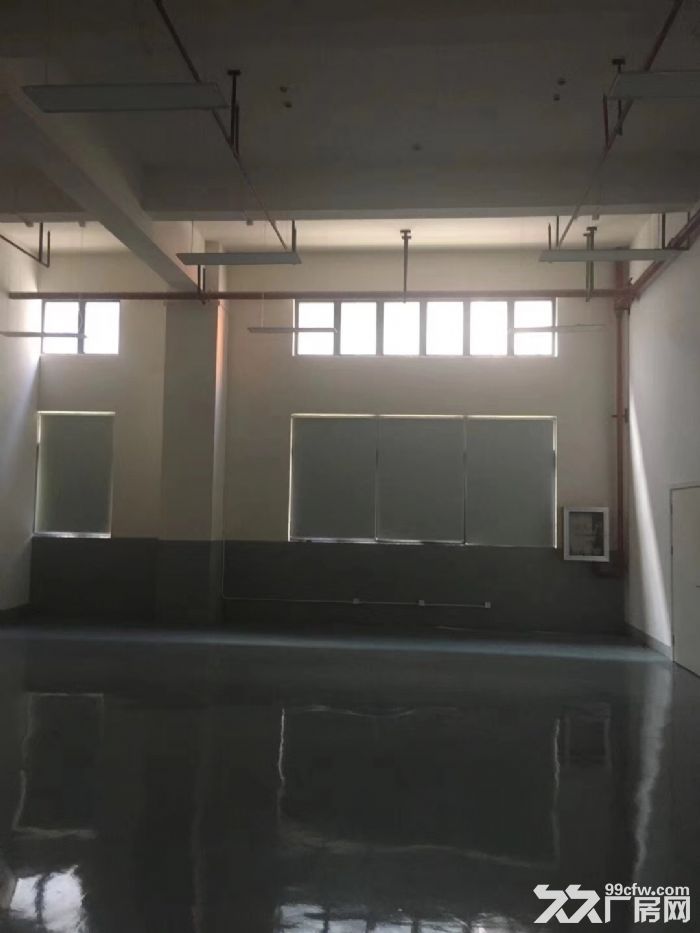 车墩独立层面精装修车间900平米一房东厂房出租-图4