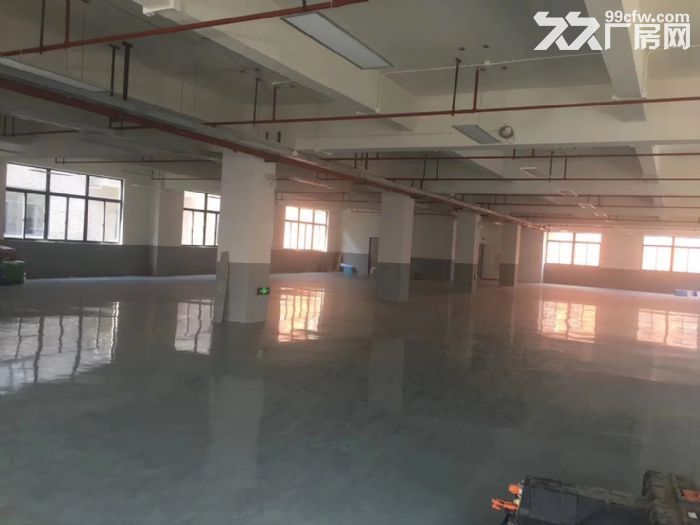 车墩独立层面精装修车间900平米一房东厂房出租-图5