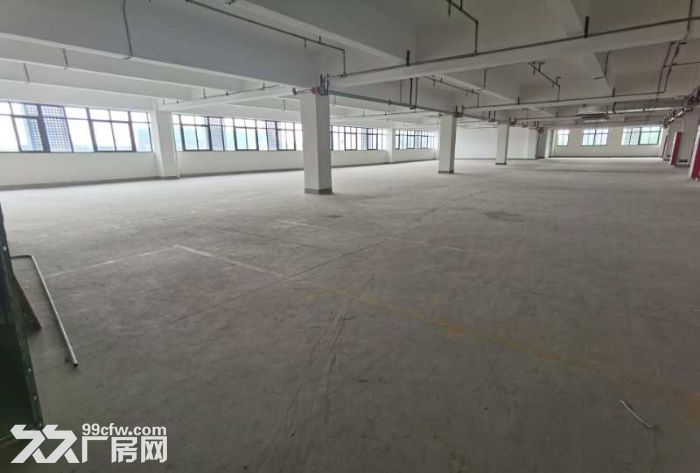 新桥全新园区无公摊精装修车间210,250平米分割形象好-图4