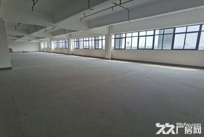 新桥全新园区无公摊精装修车间210,250平米分割形象好-图6