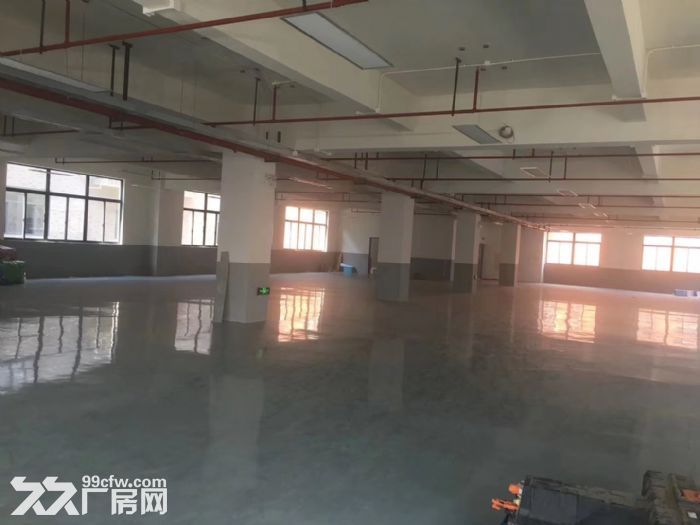 车墩无公摊独立层面800平米车间价格0.8元含税形象好-图1