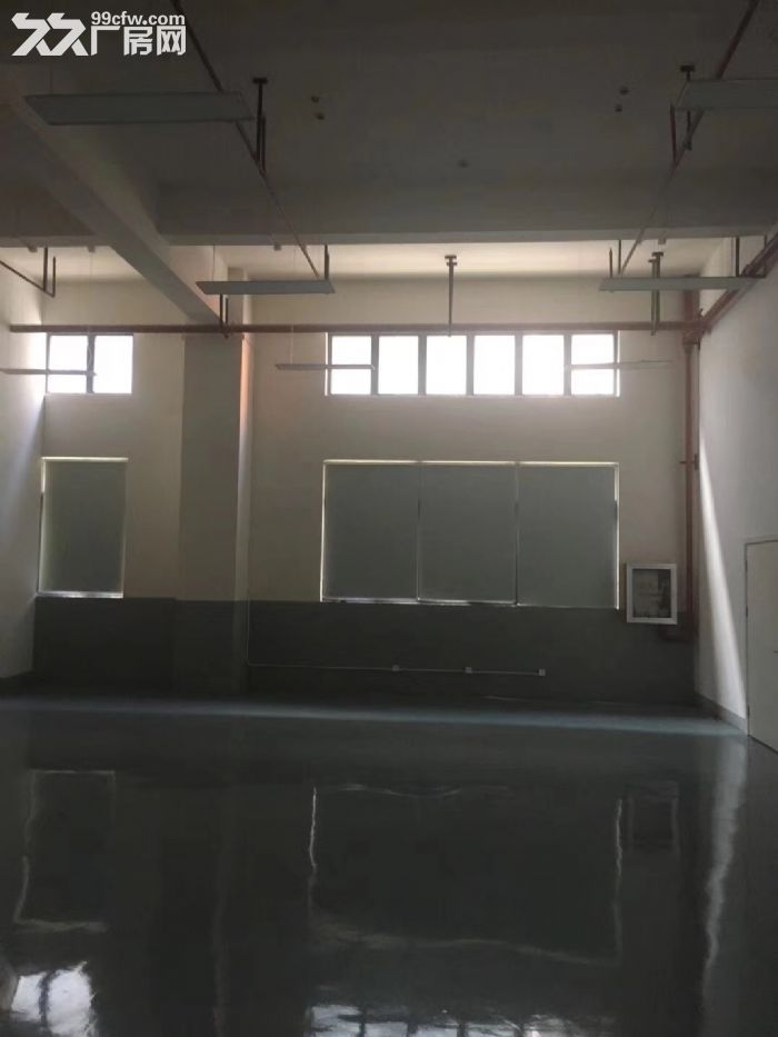 车墩一房东独立层面900平米车间出租价格含税-图1