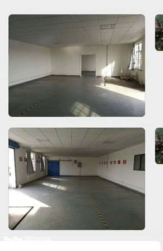 独栋单层厂房出租，办公精装修-图1