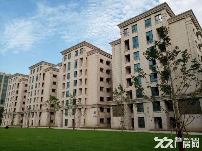 徐汇漕河泾标准厂房，可办公，仓储，物流，医疗，食品等行业！-图1