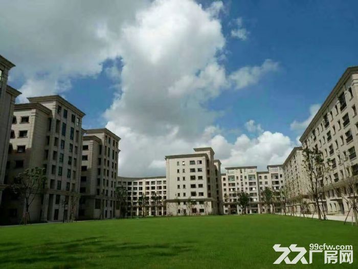 徐汇漕河泾标准厂房，可办公，仓储，物流，医疗，食品等行业！-图3
