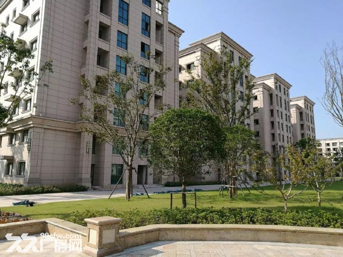 徐汇漕河泾标准厂房，可办公，仓储，物流，医疗，食品等行业！-图2