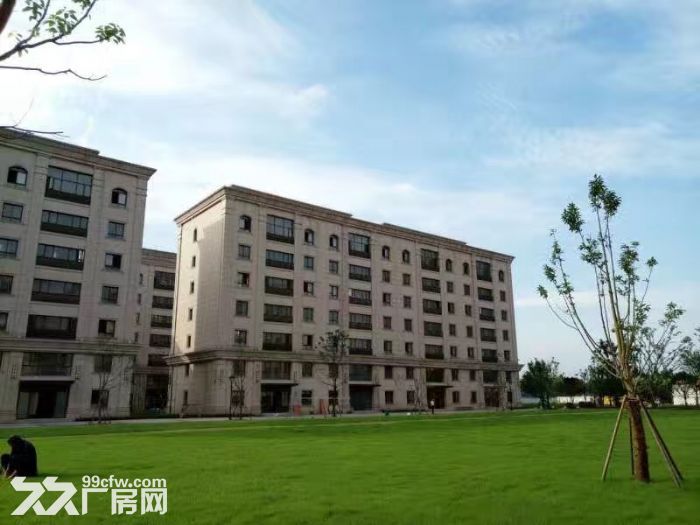 徐汇漕河泾标准厂房，可办公，仓储，物流，医疗，食品等行业！-图4