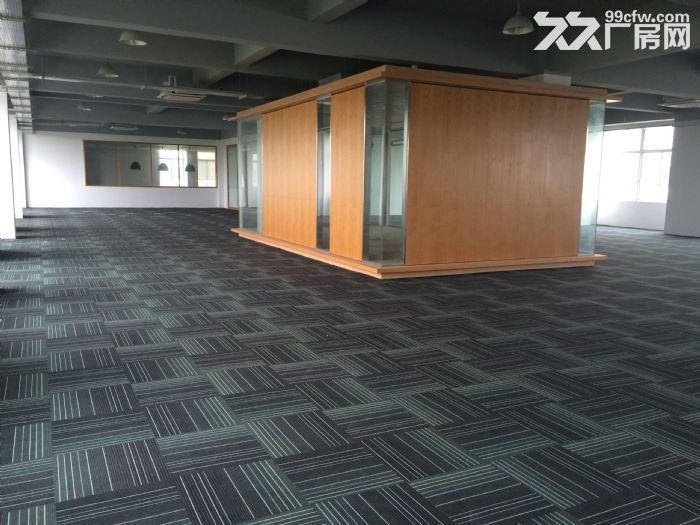 徐汇植物园厂房，空间8米，仓储，医药，食品，加工，检测，冷藏-图2