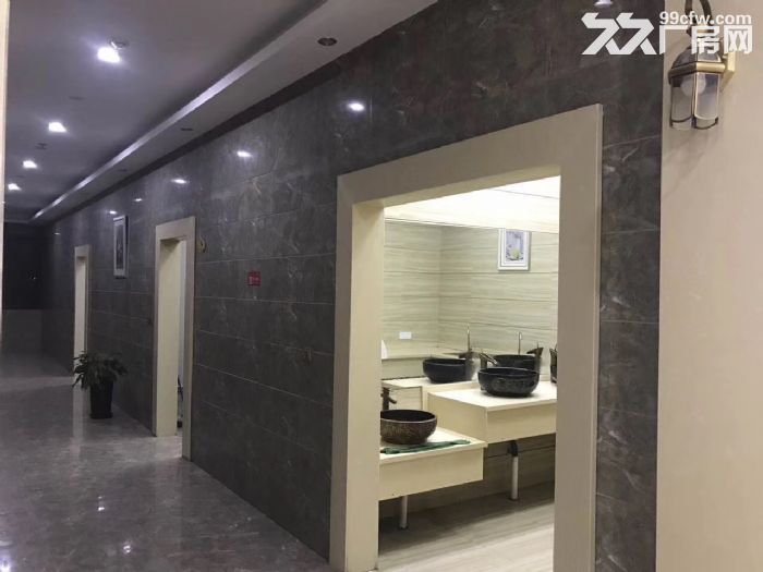 徐汇植物园厂房，空间8米，仓储，医药，食品，加工，检测，冷藏-图5