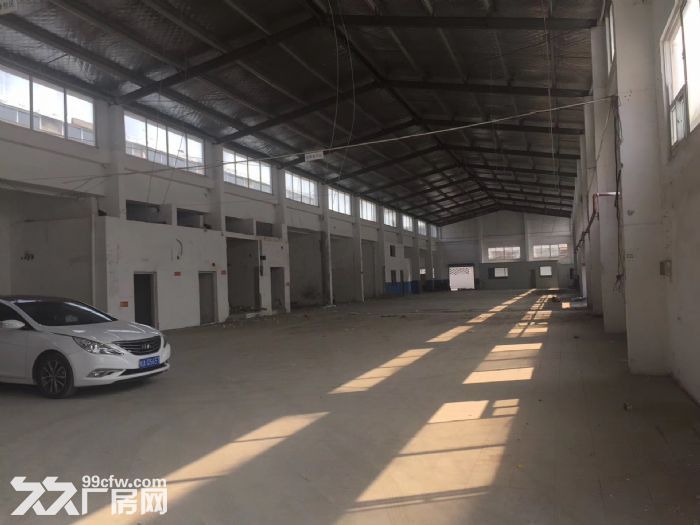 徐汇植物园厂房，空间8米，仓储，医药，食品，加工，检测，冷藏-图4