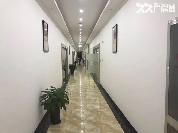 徐汇植物园厂房，空间8米，仓储，医药，食品，加工，检测，冷藏-图6