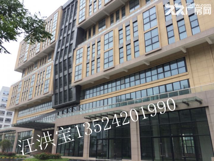 闵行浦江8号线直达300米，崭新厂房；办公出租！-图3