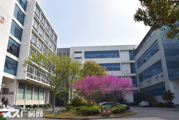 闵行华漕智汇前湾1楼研发厂房2000平业主直租 层高6m带装-图3