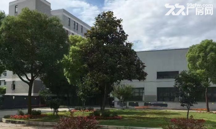 浦东周浦全单层1500平起厂房出租 租期灵活 层高10米 、交通方便-图4