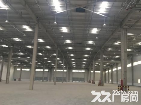 松江新桥独门独院原房东直租 丙二类厂房场地大-图3