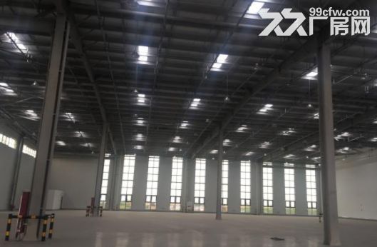 松江新桥独门独院原房东直租 丙二类厂房场地大-图4