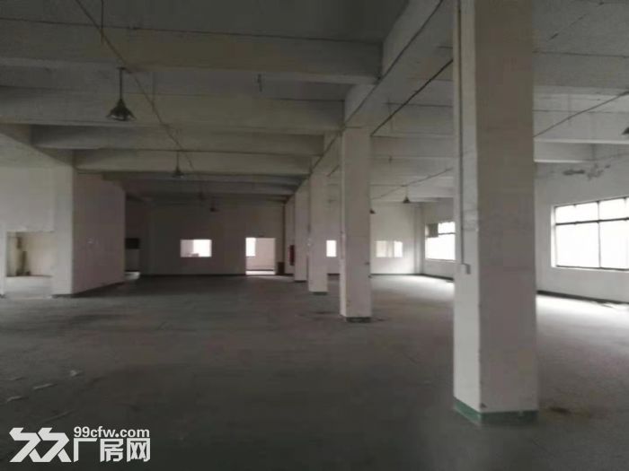 赵巷盈港东路旁10000平方一楼厂房仓库出租，大小自由分割，104地块-图4