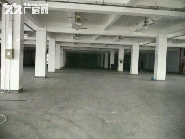 赵巷工业区崧煌路旁5750平方厂房仓库出租，一楼1900平方，二楼3850平方-图5