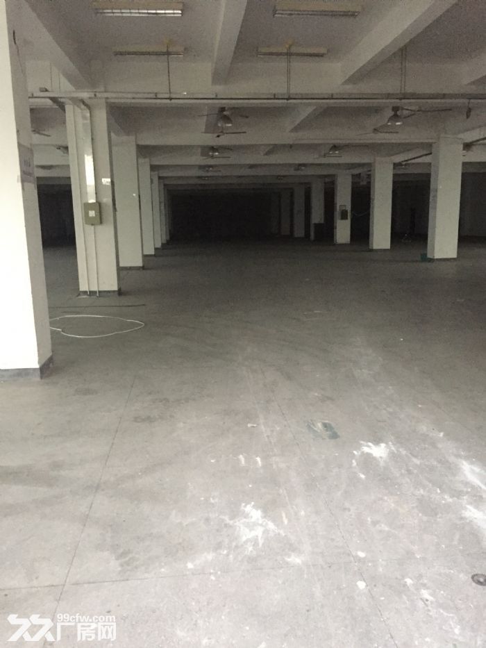 赵巷工业区崧煌路旁5750平方厂房仓库出租，一楼1900平方，二楼3850平方-图6