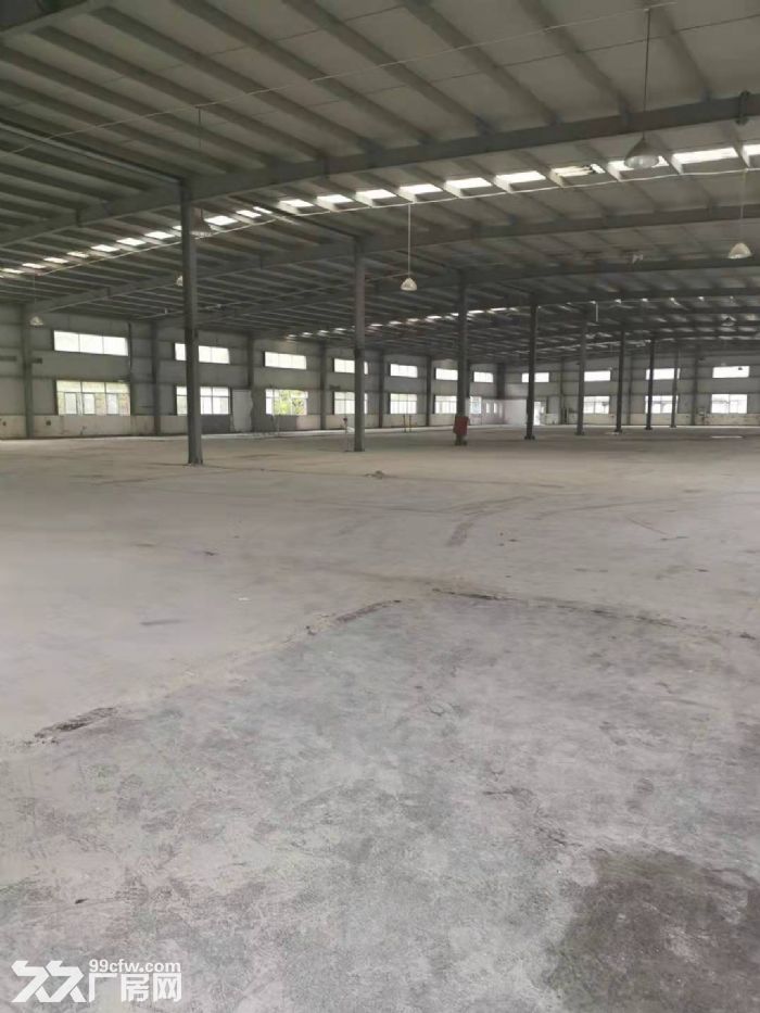 新桥新庙三路工业区4000平方独栋单层高标准厂房仓库出租，面积可分割-图5