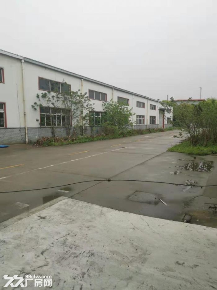 新桥新庙三路工业区4000平方独栋单层高标准厂房仓库出租，面积可分割-图8