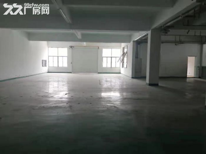 九亭主干道盛龙路旁和九新公路旁多处一楼和单层展厅，汽修，贸易厂房仓库出租-图4