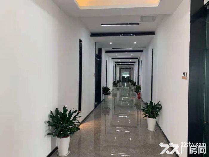 北九亭精装修办公楼，仓储出租，面积100平方，200平方，490平方，随意分割-图3