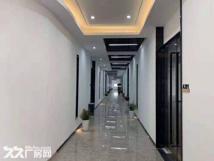 北九亭精装修办公楼，仓储出租，面积100平方，200平方，490平方，随意分割-图4