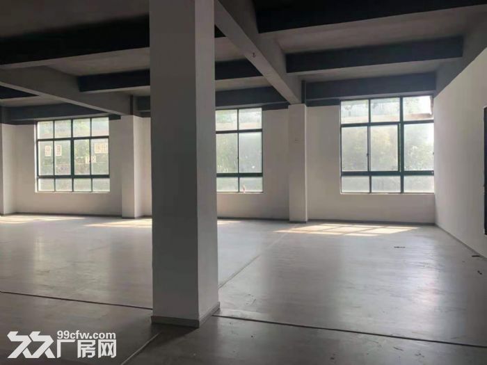 北九亭精装修办公楼，仓储出租，面积100平方，200平方，490平方，随意分割-图5