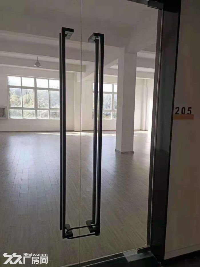 北九亭精装修办公楼，仓储出租，面积100平方，200平方，490平方，随意分割-图6