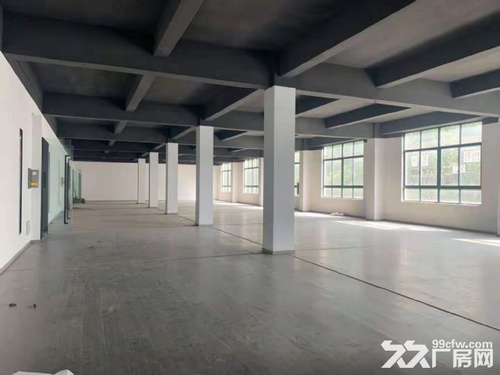 北九亭精装修办公楼，仓储出租，面积100平方，200平方，490平方，随意分割-图7