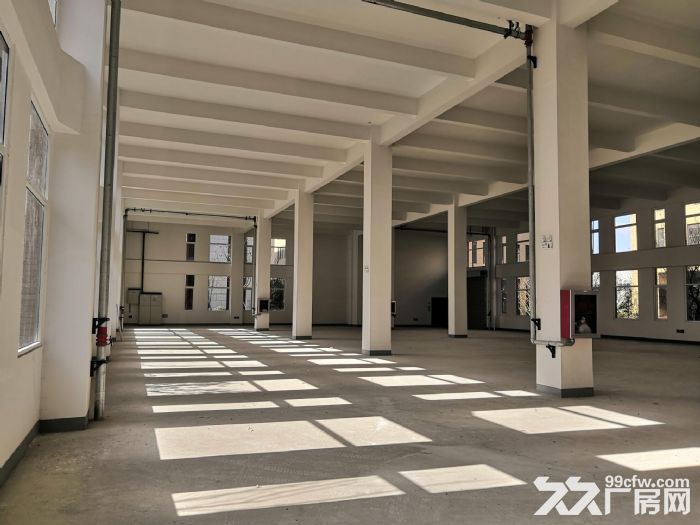 业主直租仅0.75元！享50万房租补贴宝山罗泾S7附近1400平厂房104地块-图2