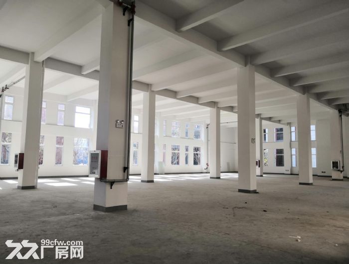 业主直租仅0.75元！享50万房租补贴宝山罗泾S7附近1400平厂房104地块-图3