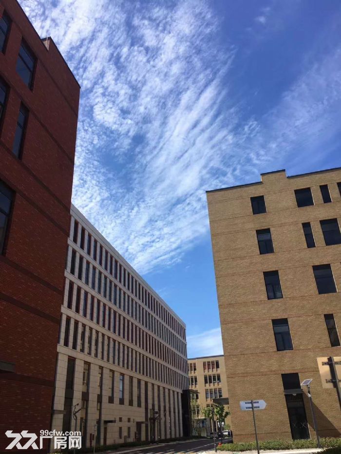 业主直租仅0.75元！享50万房租补贴宝山罗泾S7附近1400平厂房104地块-图4