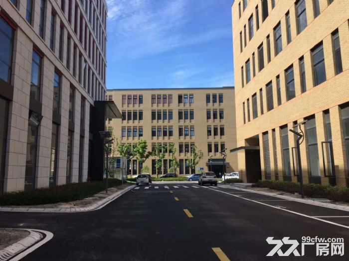 业主直租仅0.75元！享50万房租补贴宝山罗泾S7附近1400平厂房104地块-图5