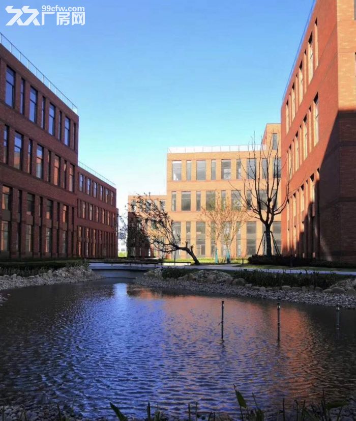 业主直租仅0.75元！享50万房租补贴宝山罗泾S7附近1400平厂房104地块-图6