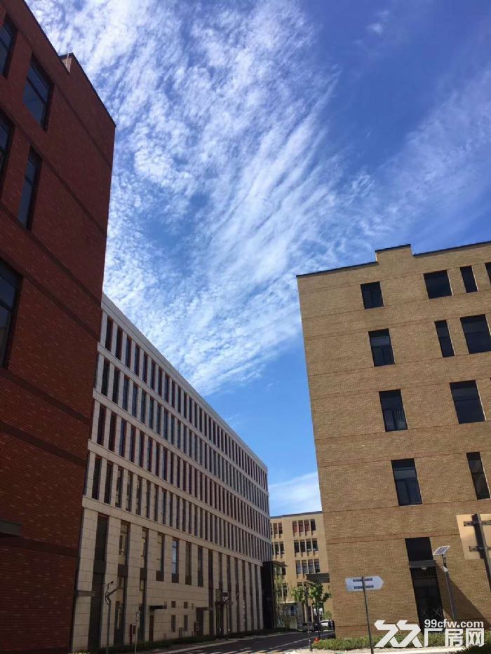 （出租）宝山800平分割厂房丙二类带喷淋104地块形象好-图2